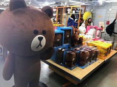-line friends(明洞旗舰店)
