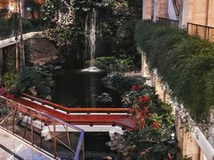 -广州白天鹅宾馆