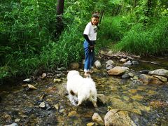 -碓臼峪自然风景区