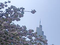 -紫峰大厦
