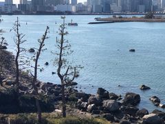 -台场海滨公园船码头