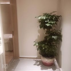 点击看大图 -苑苑vbeauty科技美容SPA