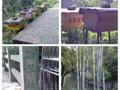 201109广东温泉宾馆14_副本-广东温泉宾馆