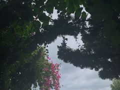 -南诏风情岛