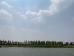 -春花秋色城市公园