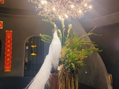 -滇野云南野生菌餐厅(陕西南路店)