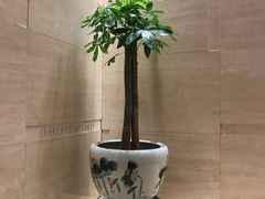 -知味观(湖滨总店)