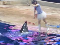 -太平洋海底世界