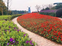 -铁山坪森林公园