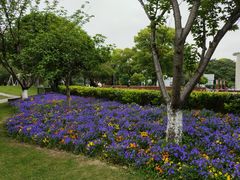 -七宝老街-闵行市民文化广场