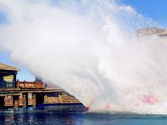-嘉峪关方特欢乐世界