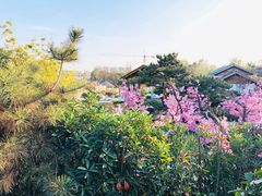 -郑州银基黄帝宫御温泉