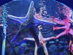 -石林冰雪海洋世界