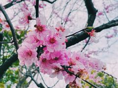 景点-静安雕塑公园