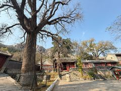-北京凤凰岭
