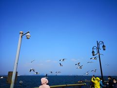 -东港音乐喷泉广场