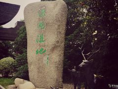 -溱湖国家湿地公园