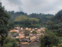 -杨家堂村