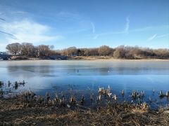 -大兴滨河森林公园