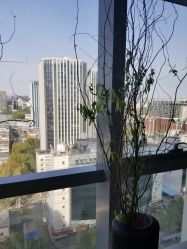 -北京米扬丽格医疗美容·联合丽格鼻整形中心