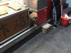 自助取餐区-春苗炸鸡