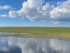 -红宝石·鲜奶小方·海派西点房(长阳店)