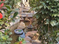 -后湖小院·乡野田园菜