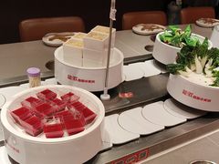 -龍歌自助小火锅(雨花台江南虹悦城店)