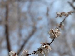 -北坞公园