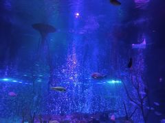 -沈阳海洋探索中心