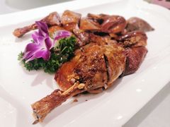 琵琶鸭-骏莱海鲜鱼港(五角场店)
