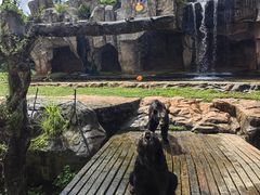 -海南热带野生动植物园