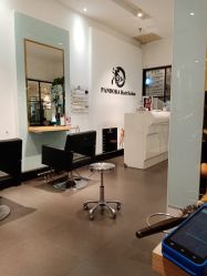 -东方麒麟·潘多拉SALON