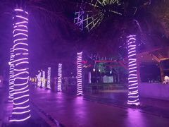 -三亚海昌梦幻海洋不夜城