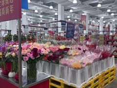 -山姆会员商店(上海浦东店)