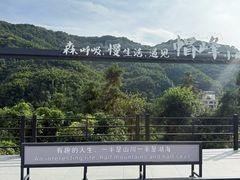 -广州市帽峰山景区
