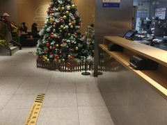 大堂-麦当劳(新王府井店)