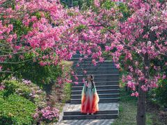 -东莞植物园