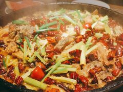 -老板恋上鱼(恒隆广场店)