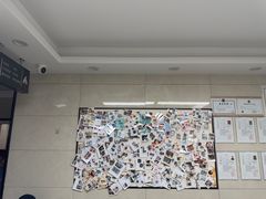 -半岛宠物医院24小时(白果林店)