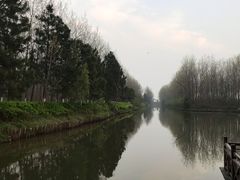 -合肥滨湖国家森林公园