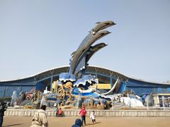 -泉城欧乐堡海洋极地世界