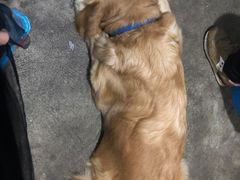 -益友堂盲人推拿正骨穴位按摩工作室