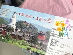 -五台山风景名胜区