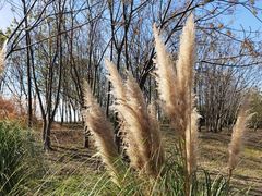 -良渚古城遗址公园