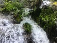 -藏龙百瀑风景区