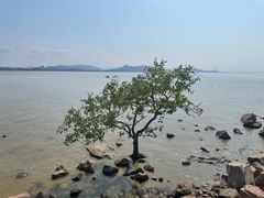 -深圳湾公园(南山区)