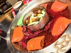 -大龙燚火锅(春熙店)