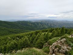 -苏木山森林公园