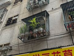 -共和老洪豆花草粿水粿